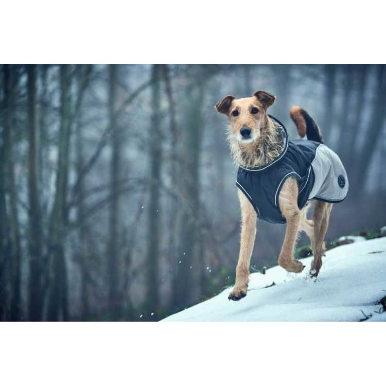 Hunter Coat Uppsala Cozy Grey 25 (28-34cm) - Image 2