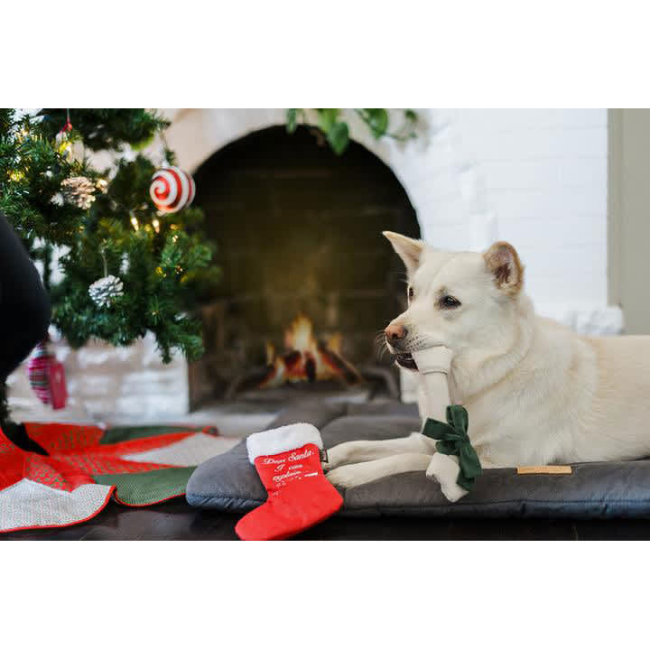 PLAY Merry Woofmas Good Dog Stocking - Image 4