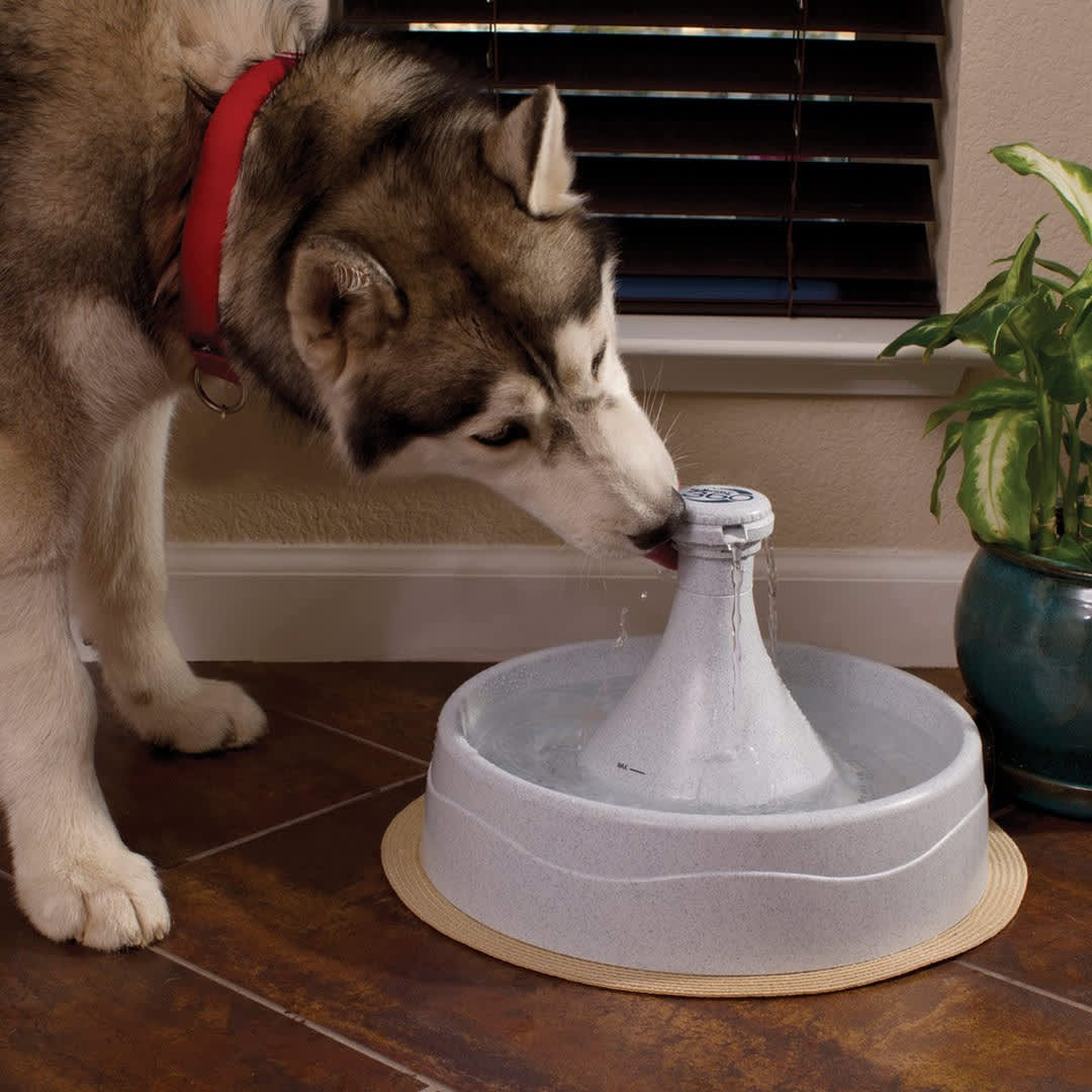 PetSafe Drinkwell 360 Pet Fountain - Image 3