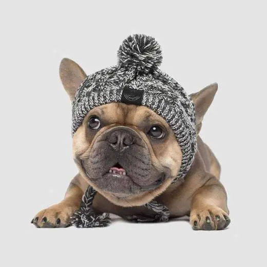 Canada Pooch Polar Dog Pom Pom Hat Charcoal Dogfather and Co. Dog Grooming and Retail in Toronto