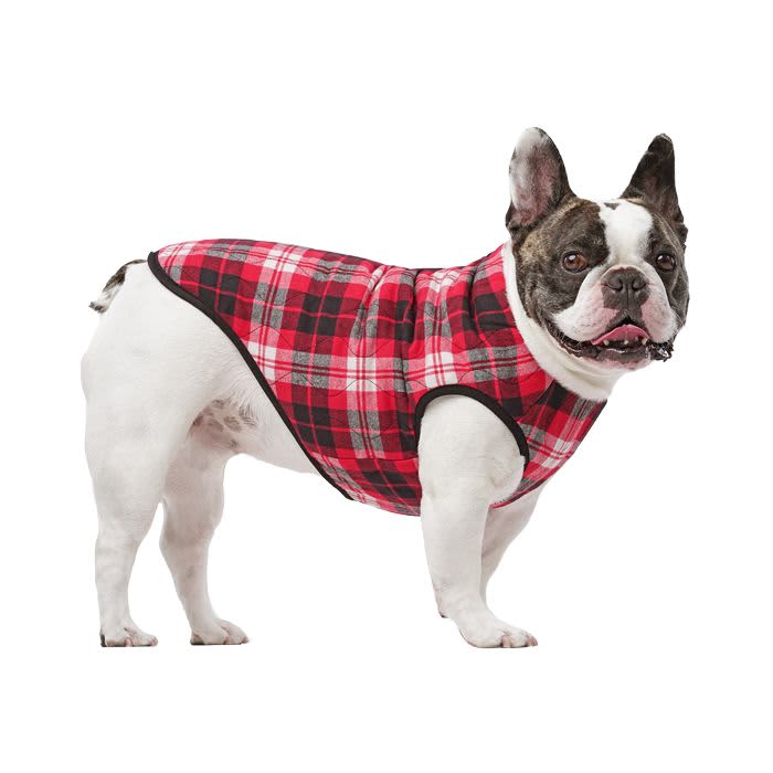 Canada Pooch Reversible Vest Black - Image 4