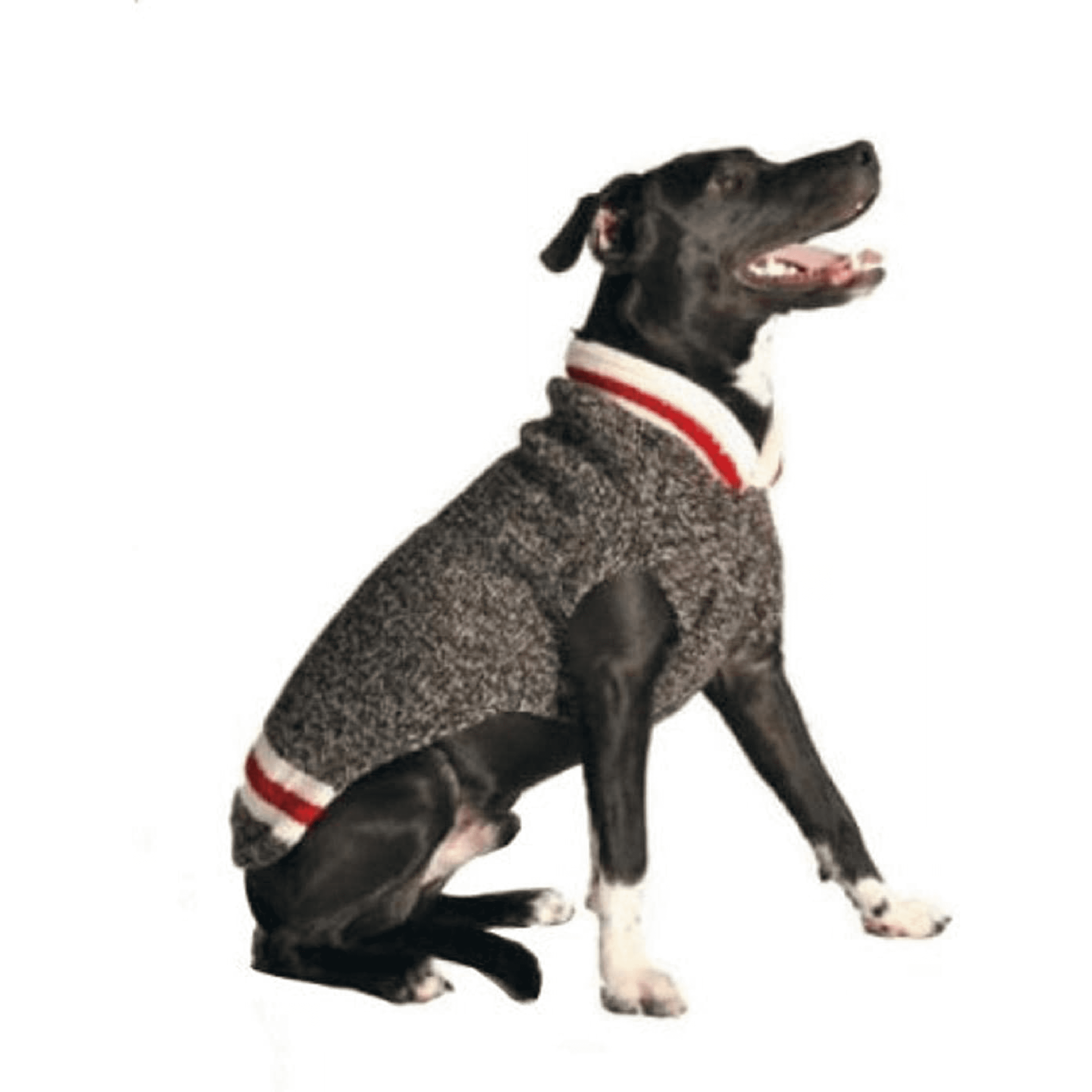 Chilly Dog Boyfriend Sweater » Dogfather and Co. Dog Grooming and