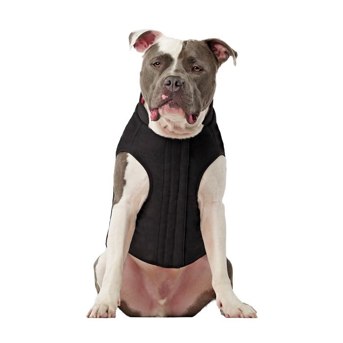Canada Pooch Reversible Vest Black - Image 2
