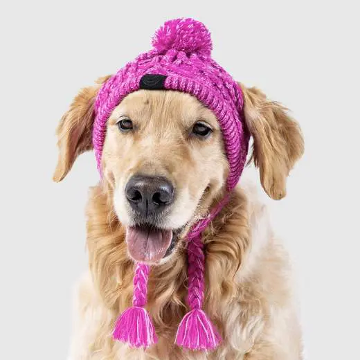 Pom pom dog hat best sale