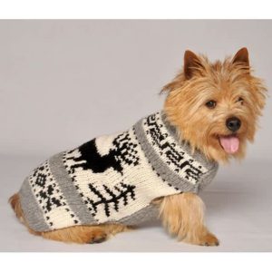 Canada Pooch Northern Knit 2.0 Dog Sweater, Leopard, 12-in