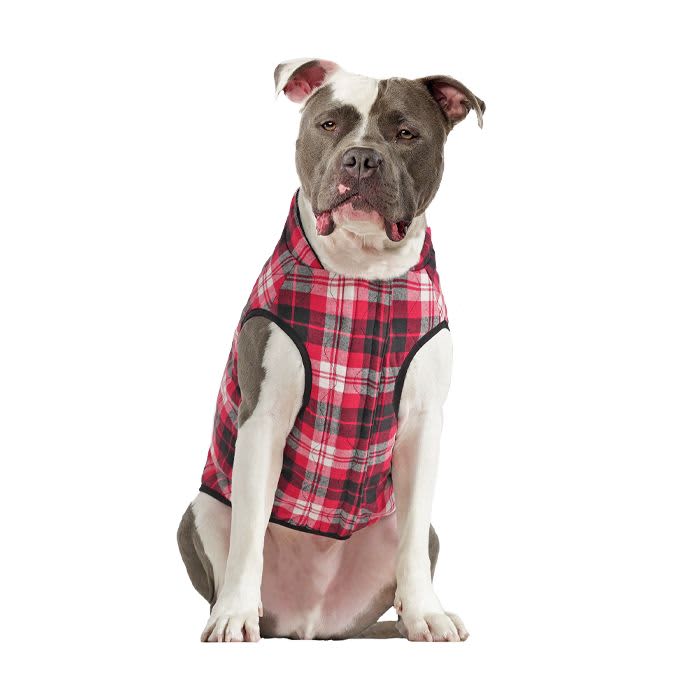 Canada Pooch Reversible Vest Black - Image 3