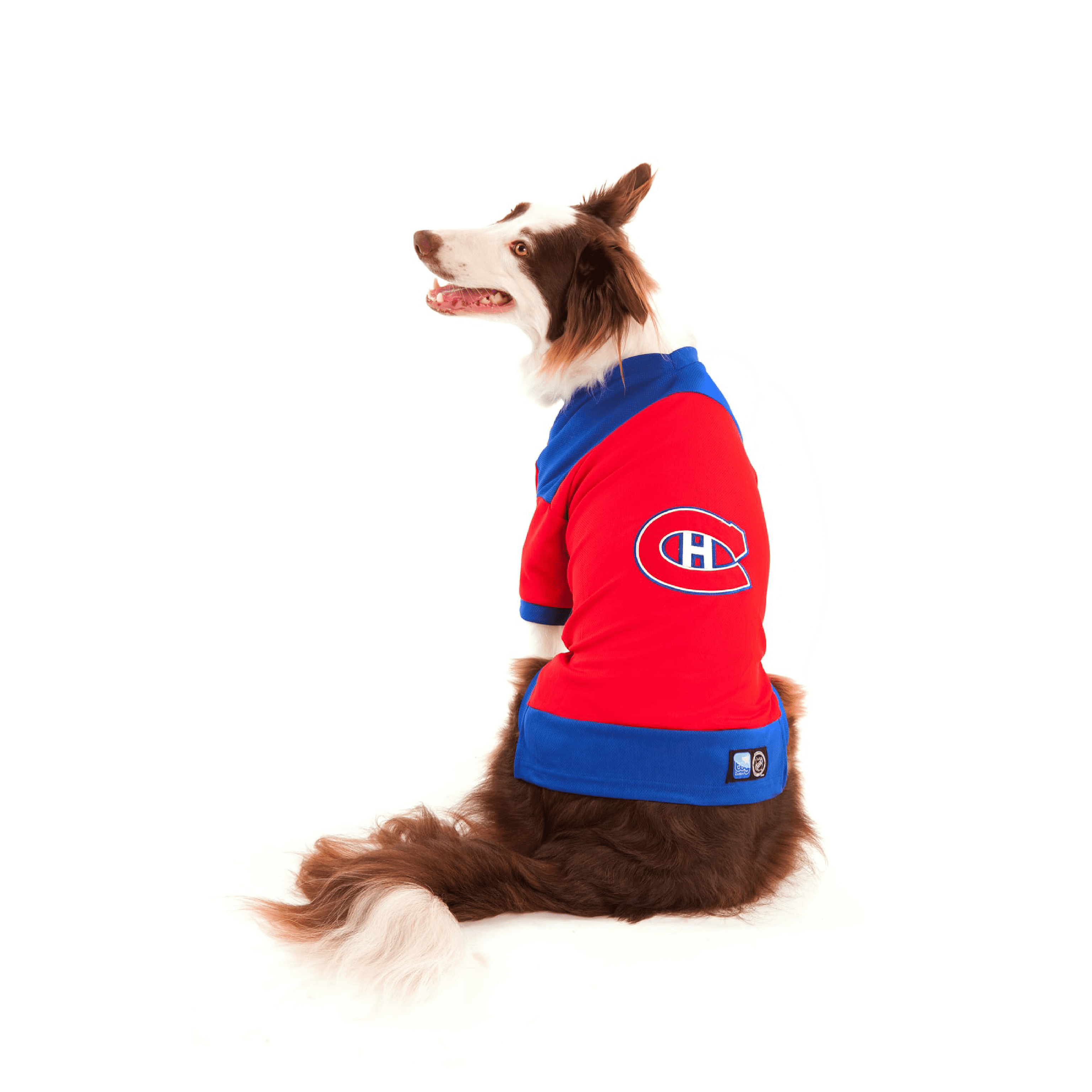 Montreal Canadiens Dog Jersey - Red