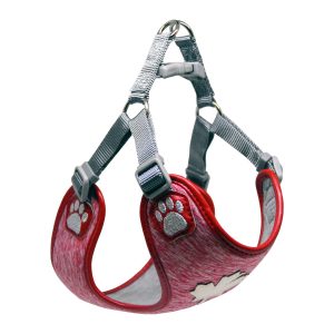 CANADA-Red-harness-888x1200