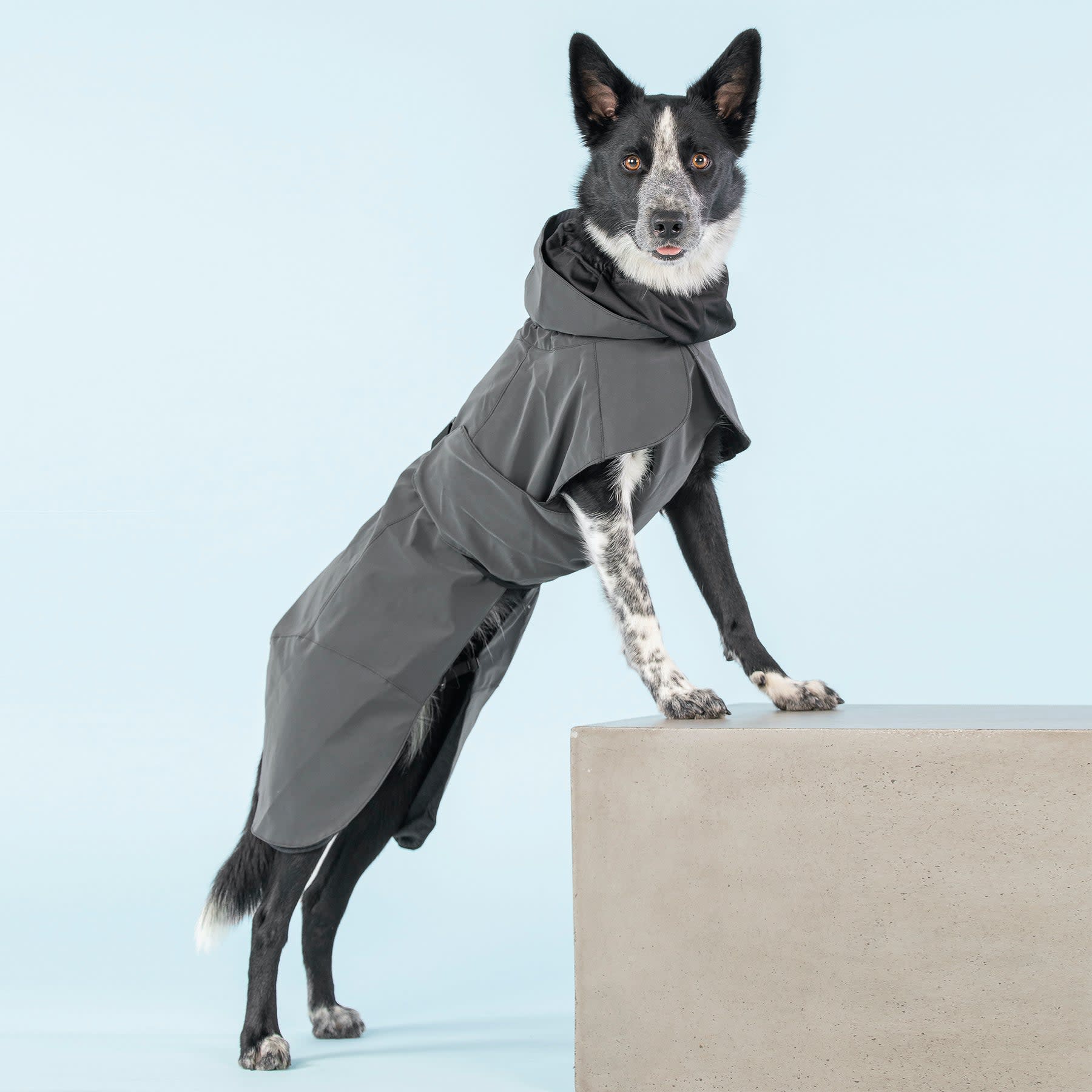 PAIKKA Visibility Raincoat Dark » Dogfather and Co. Dog Grooming and