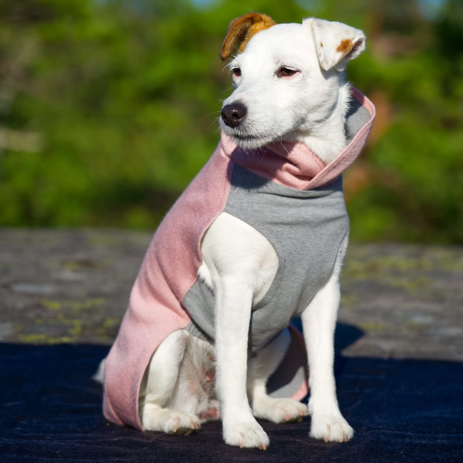 PAIKKA Recovery Winter Shirt Pink - Image 5