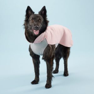 PAIKKA Recovery Winter Shirt Pink