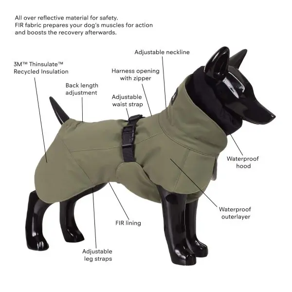 PAIKKA Visibility Winter Jacket Green Dogfather and Co. Dog Grooming and Retail in Toronto