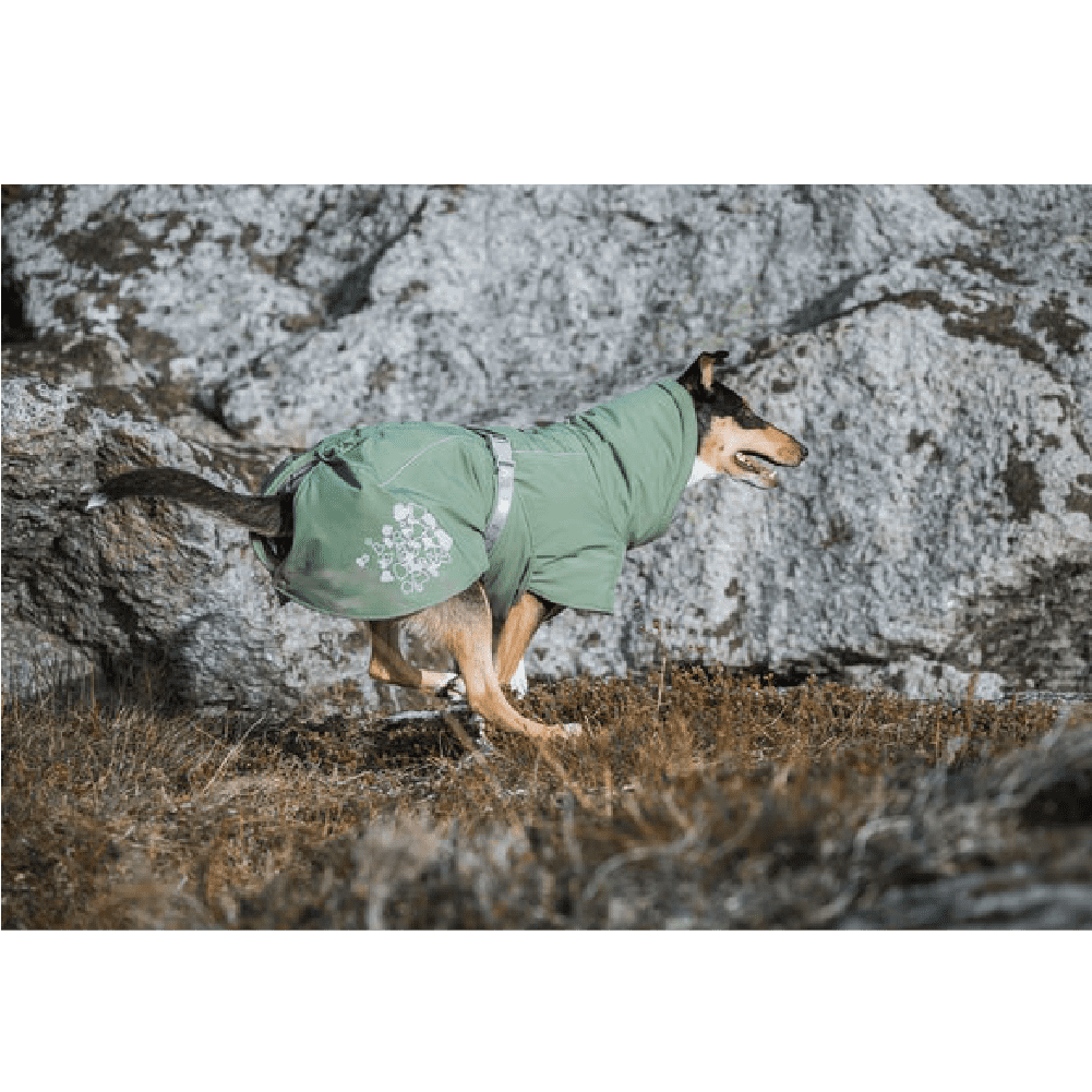 Hurtta Extreme Warmer 2 ECO Hedge » Dogfather and Co. Dog Grooming