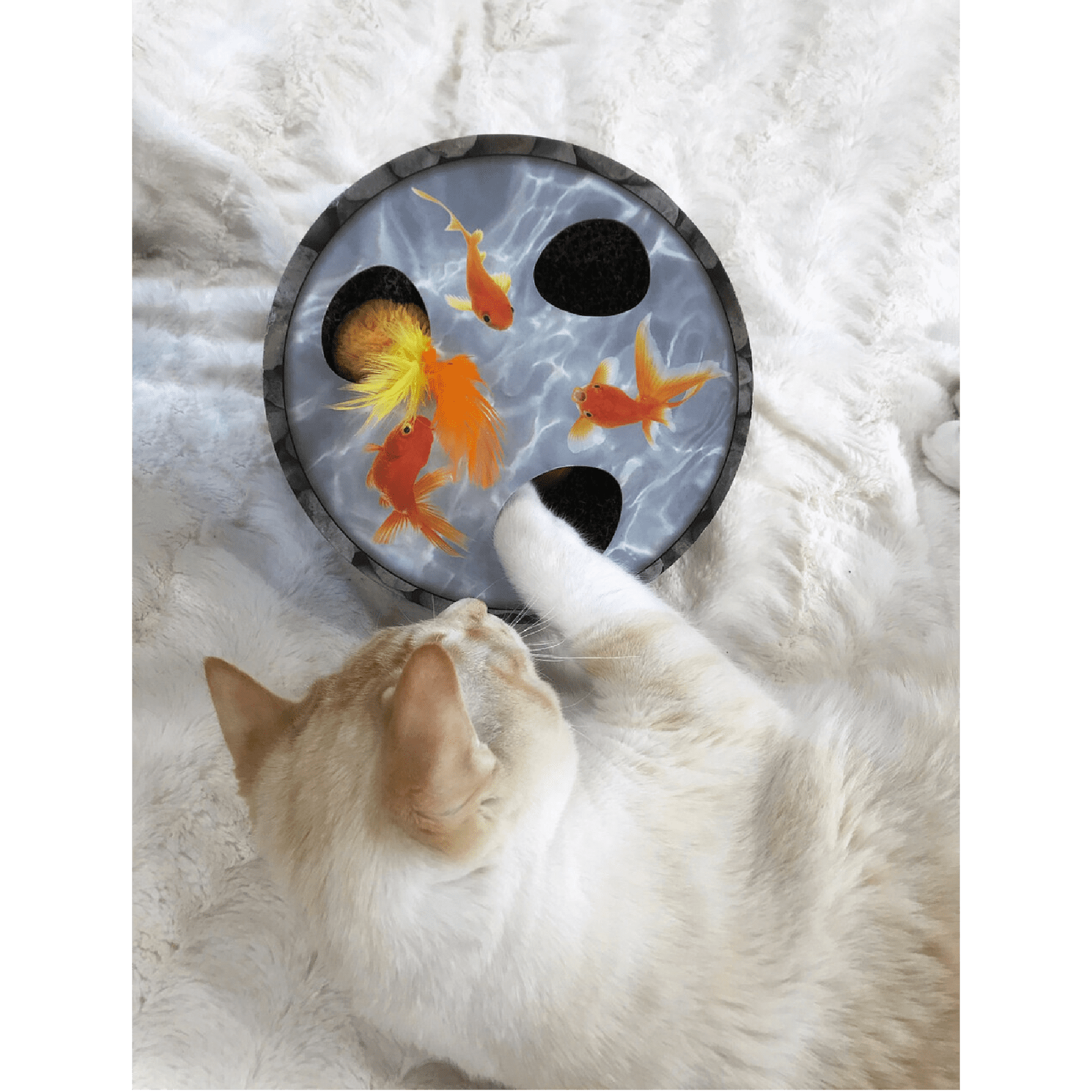 Petstages Cat Hide & Seek Wobble Pond - Image 4