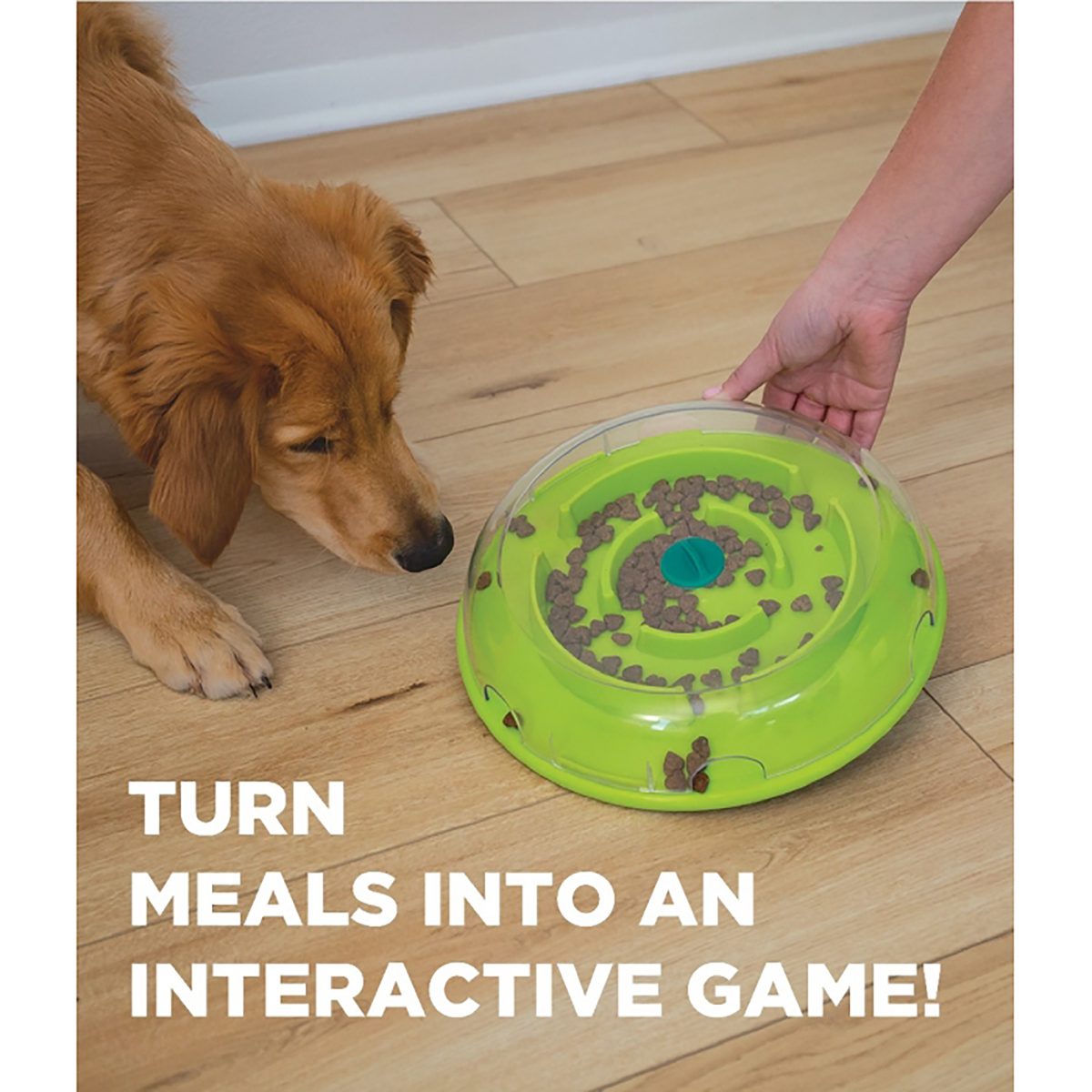 Interactive Dog Toys Treat Dispensing Puzzle Maze Challenge Games Choose  Level (Brick - Level 2) 