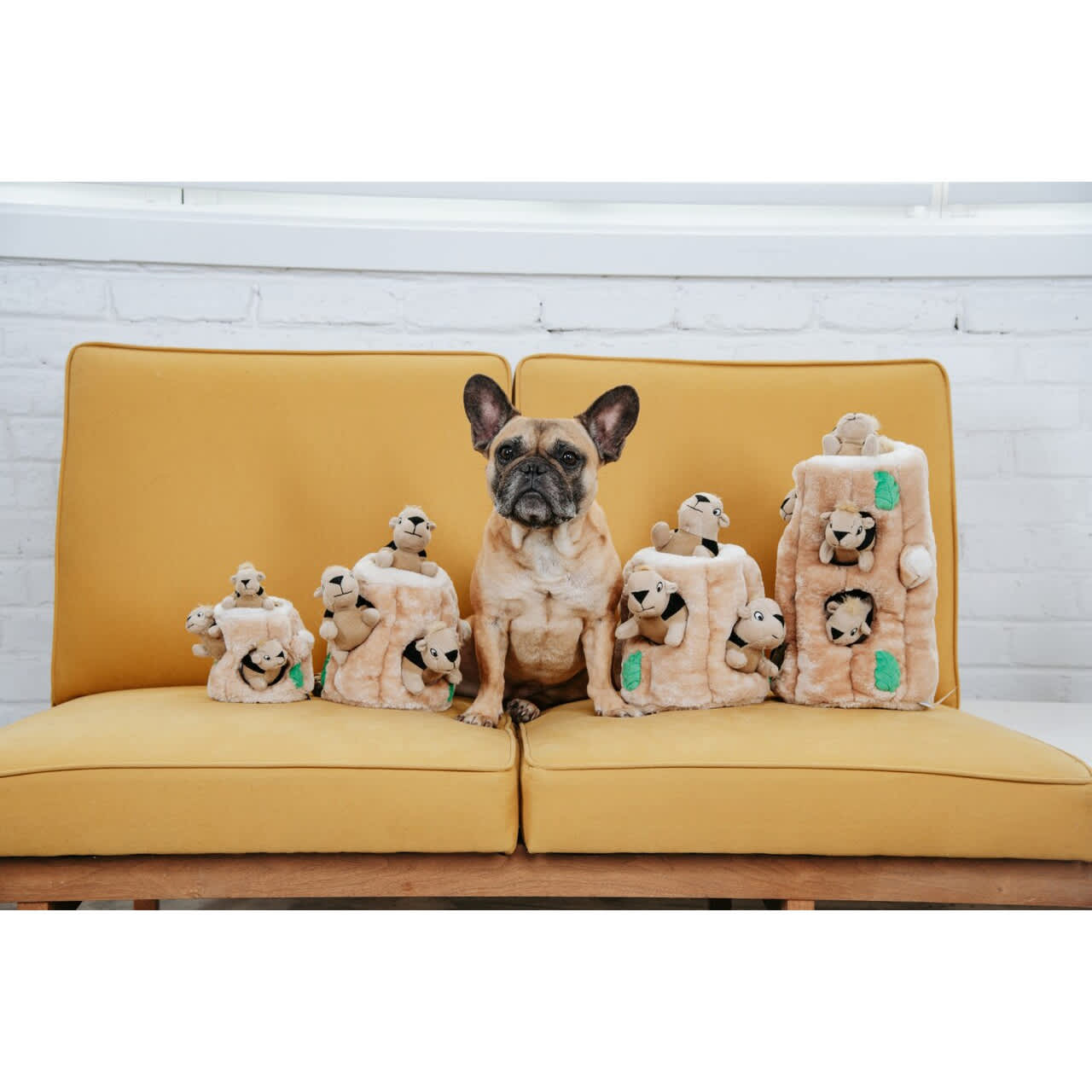 Outward Hound Hide-A-Squirrel - Image 6