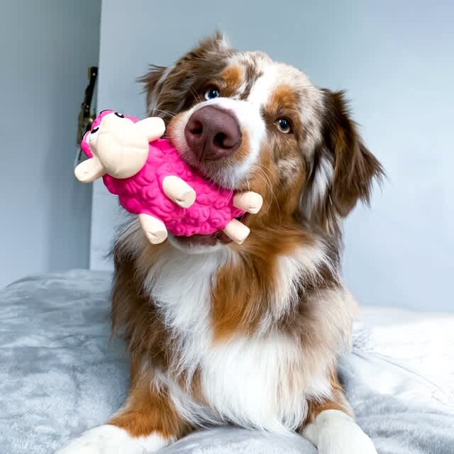 Outward Hound Tootiez Sheep Pink - Image 4