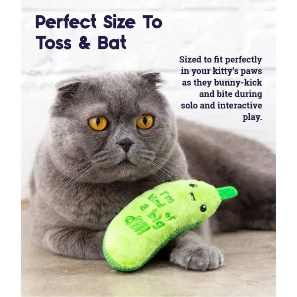Petstages Crunchy Catnip Pickle Cat Toy » Dogfather and Co. | Dog