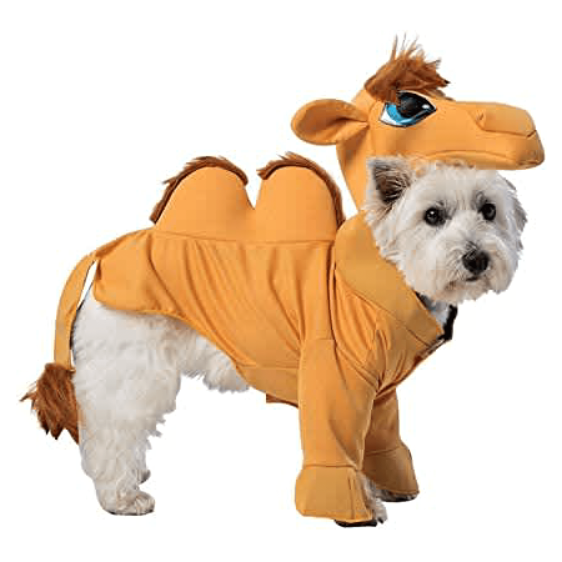 Rasta Imposta Costume Camel