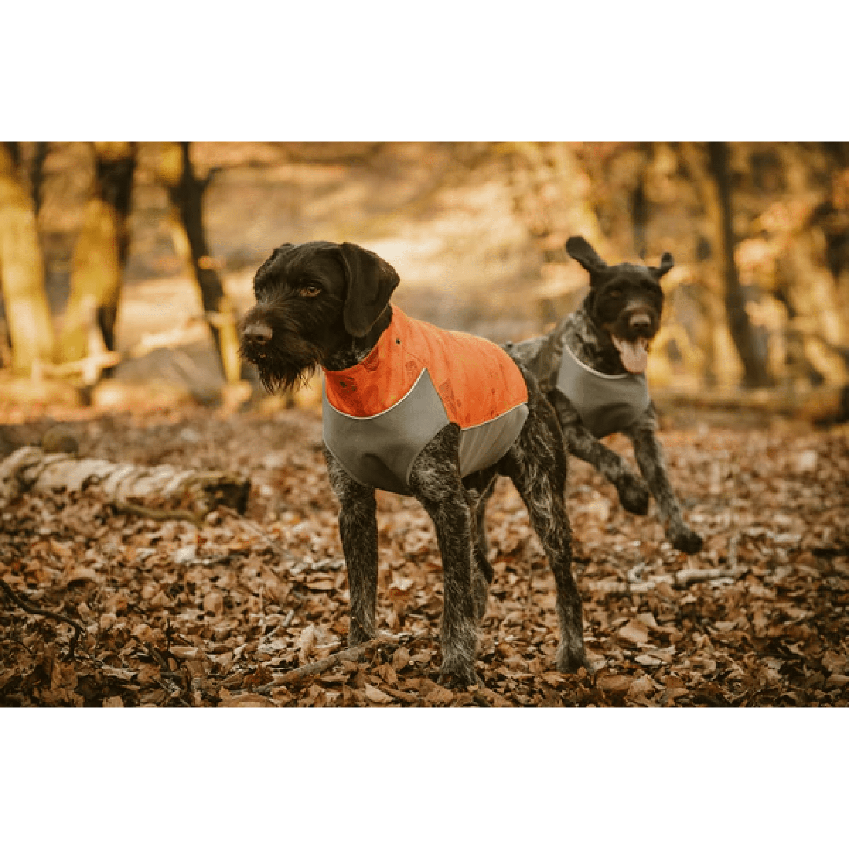 Hurtta Worker Vest Orange Camo - Image 3
