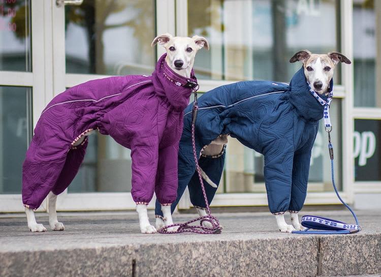 Hurtta Casual Quilted Overall Raven » Dogfather and Co. Dog Grooming and Retail in Toronto