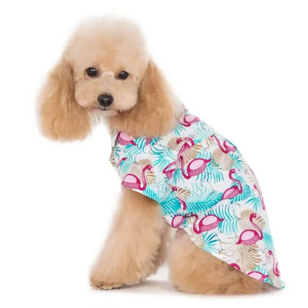 DOGO Flamingo Shirt Dogfather and Co. Dog Grooming and Retail in Toronto