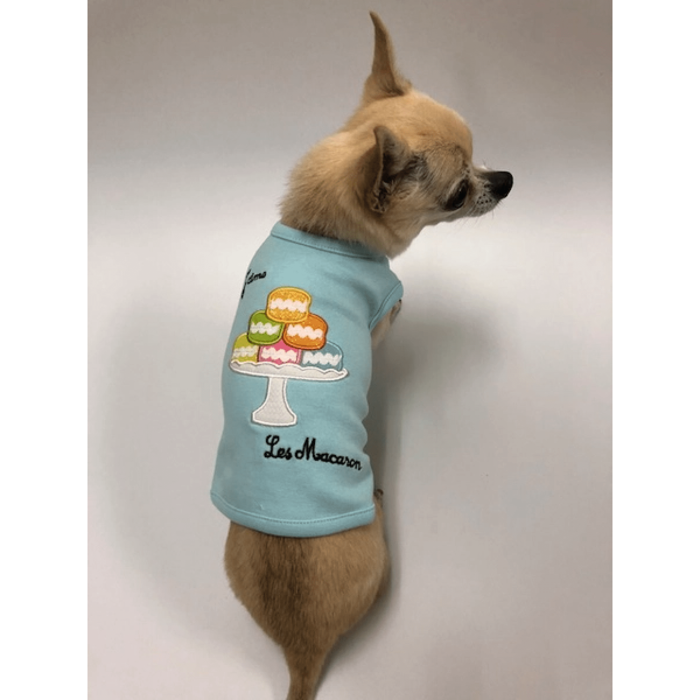 Luna blue dog store apparel