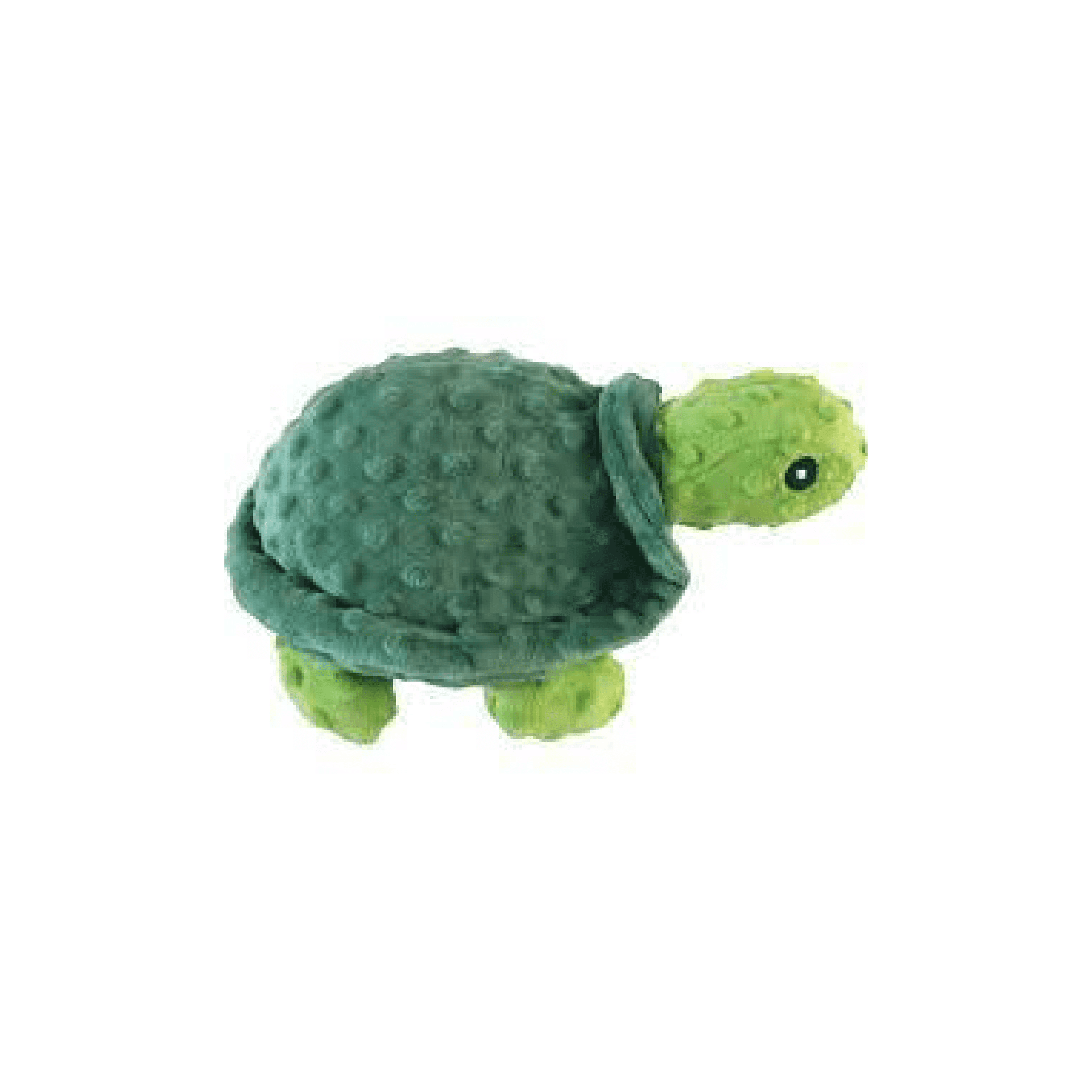 Petlou Dotty Friends Turtle 12