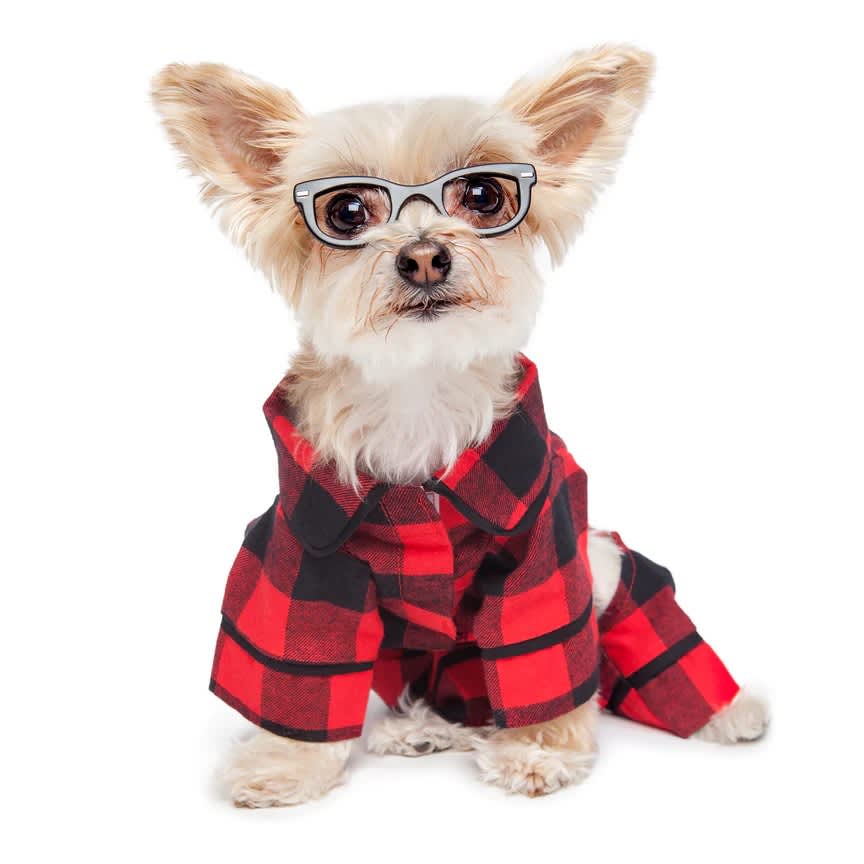Fabdog Buffalo Check Flannel Pajamas - Image 3