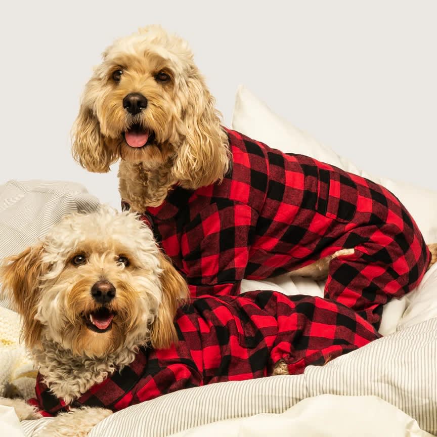 Fabdog Buffalo Check Flannel Pajamas - Image 2