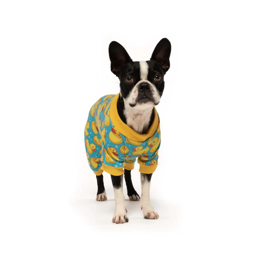 Fabdog Rubber Ducky Onesie » Dogfather and Co. Dog Grooming and