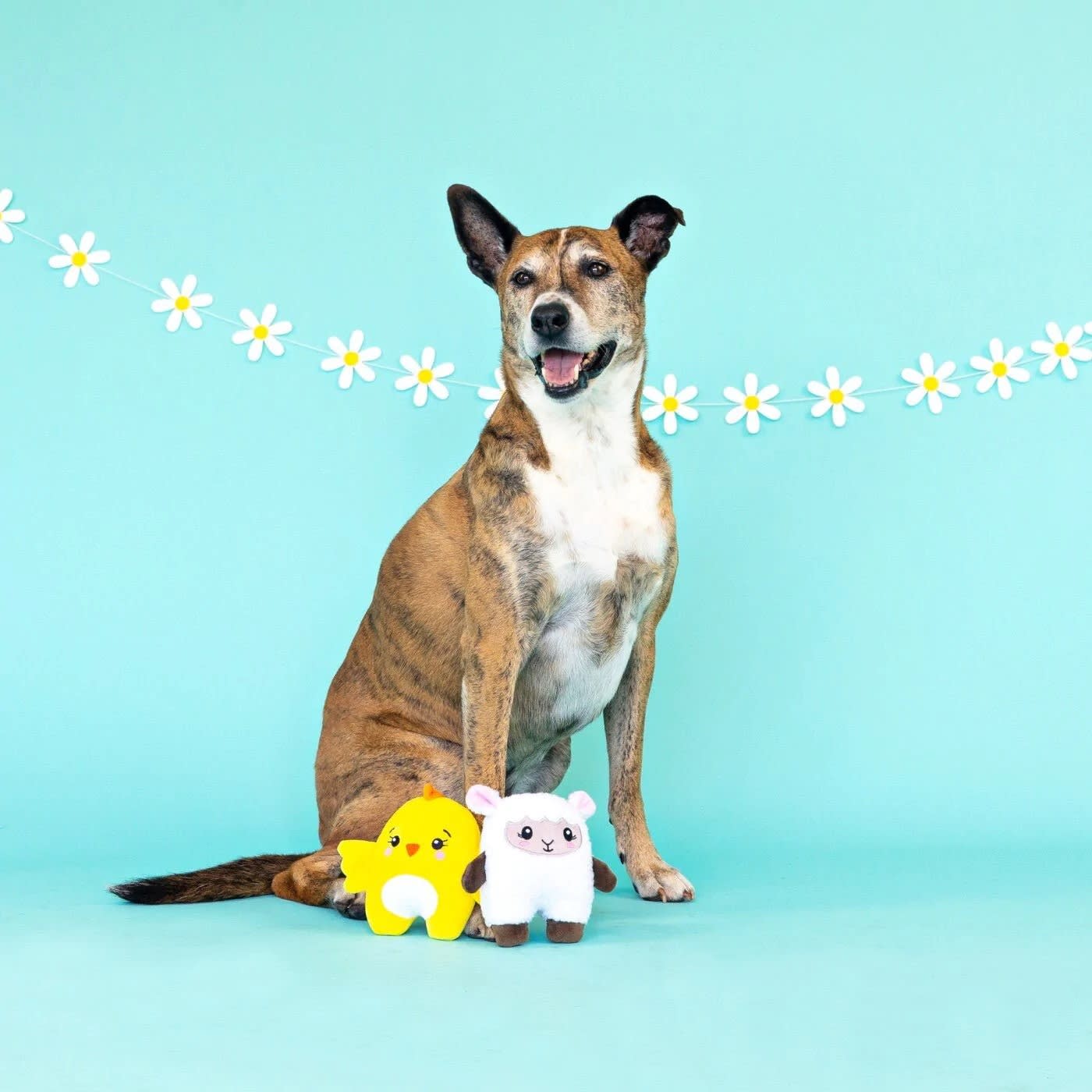 Pet Shop by Fringe Studio Set/3 Hoppy Together Pet Toy » Dogfather and