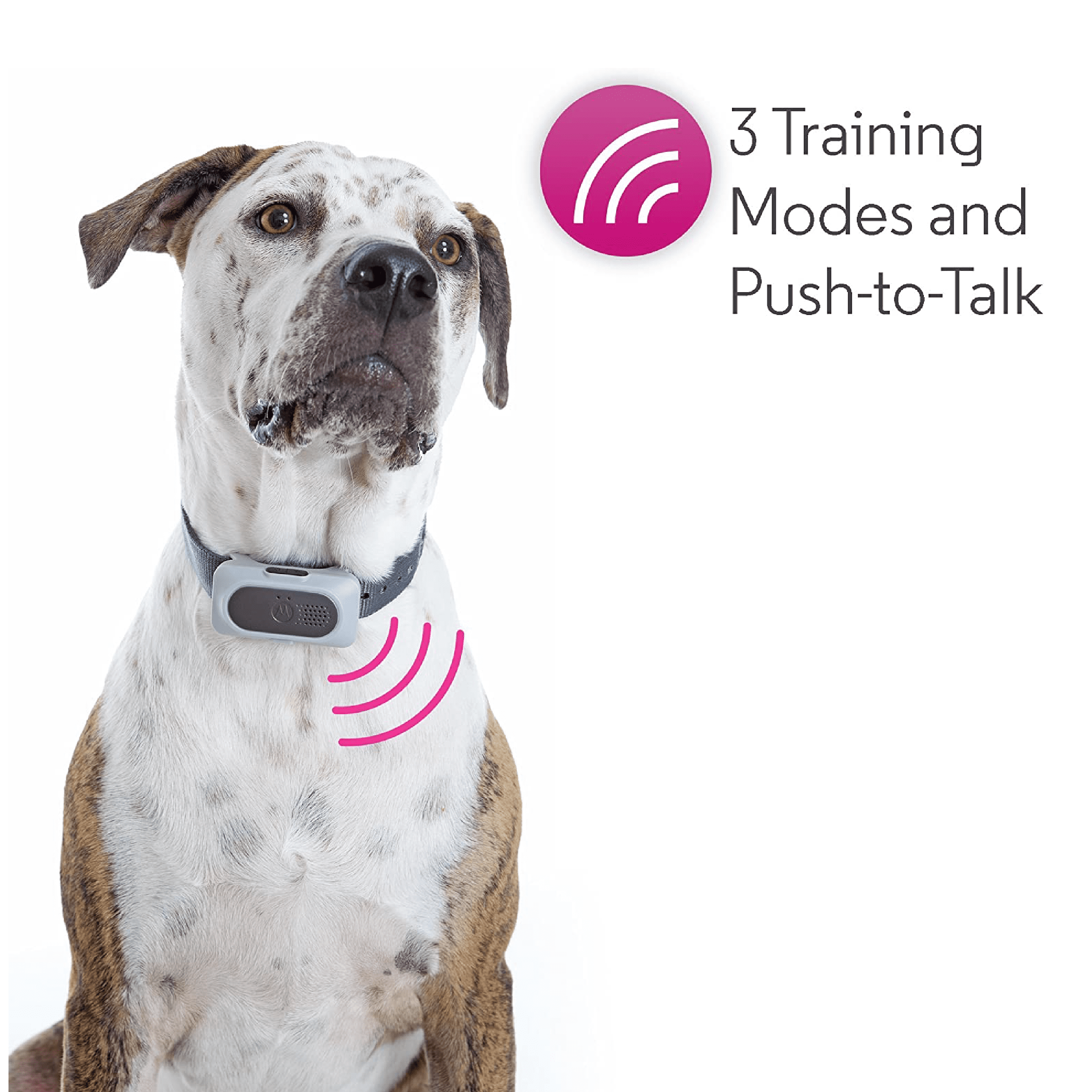Motorola SCOUTTRAINER50 Advanced Pet Training System - Image 4
