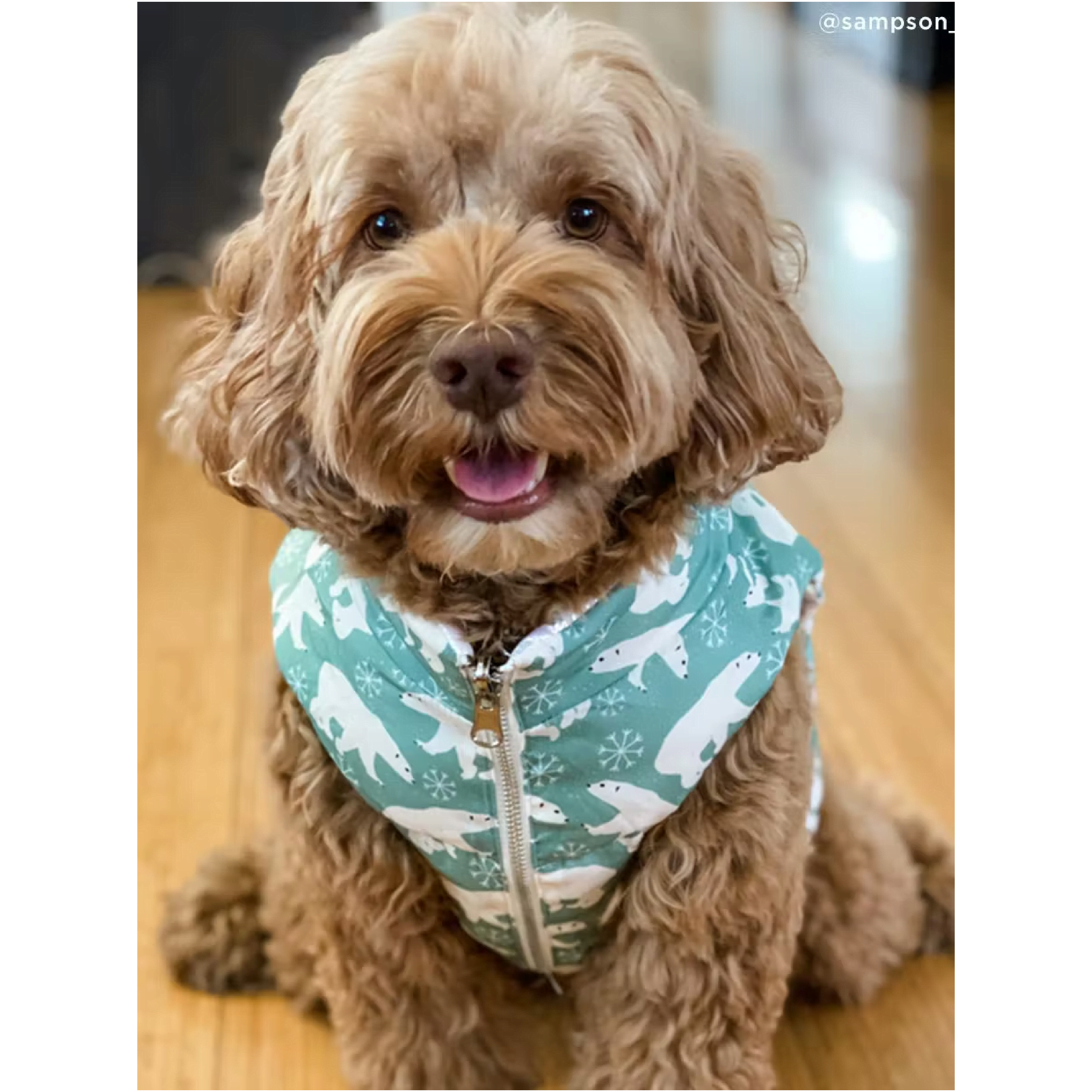 Lucy & Co Reversible Puffer Vest Polar Bear Parade » Dogfather and Co