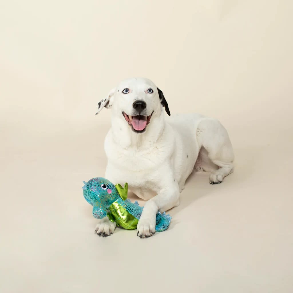 Pet Shop by Fringe Studio Pet Toy Shelly the Seahorse » Dogfather and Co. Dog Grooming and