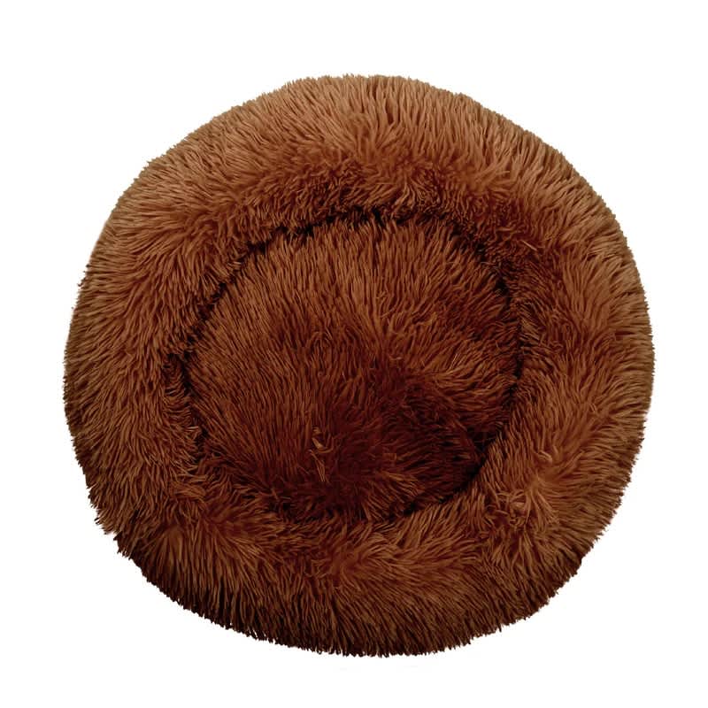 Show & Tail The Powdered Dognut Chocolate » Dogfather and Co. Dog