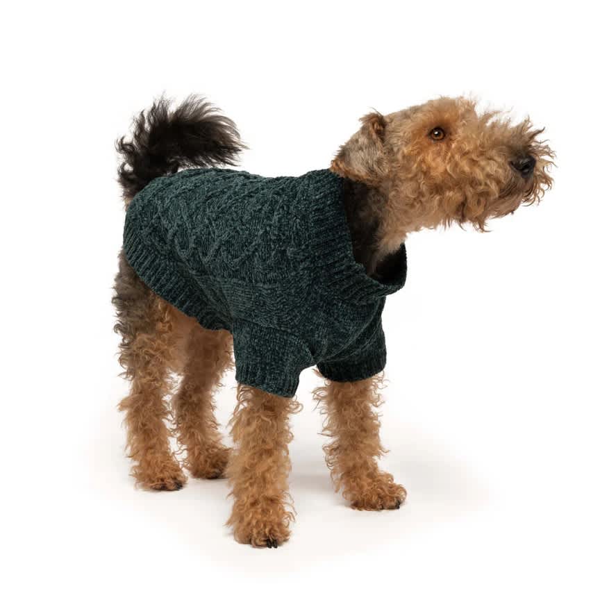 Fabdog Sweater Chenille Emerald » Dogfather And Co. 