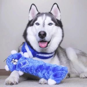 ZippyPaws Hanukkah Jigglerz Blue Bear