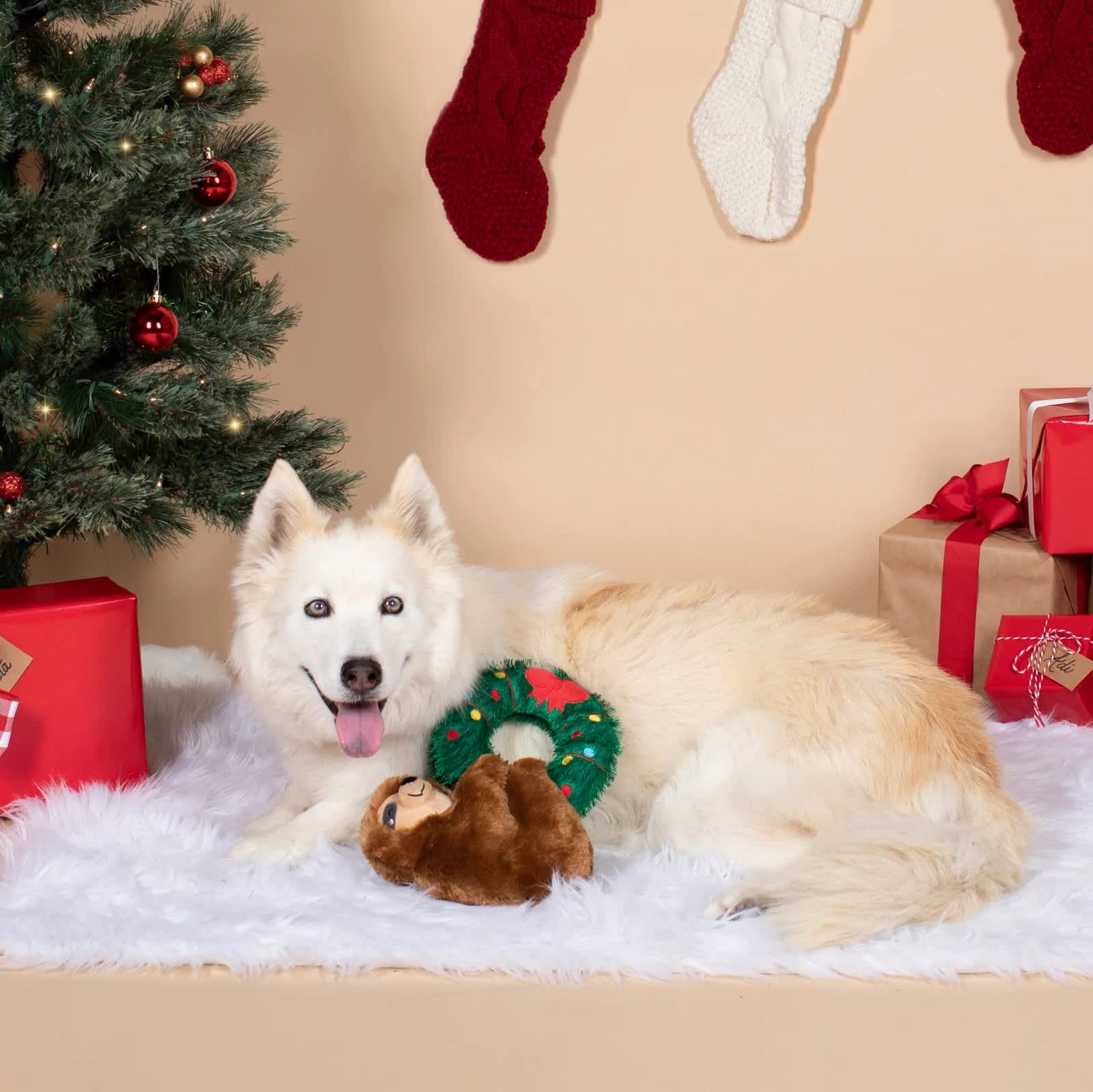 Pet Shop by Fringe Studio Holiday Sloth/Wreath » Dogfather and Co