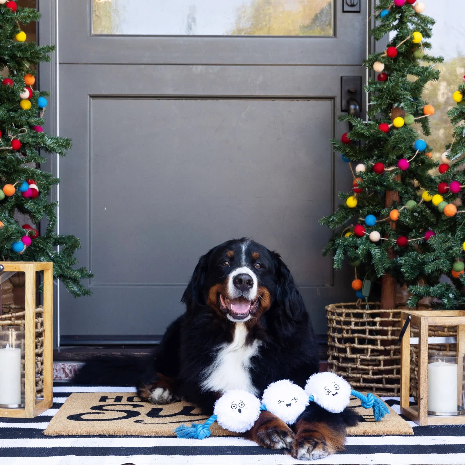 Pet Shop by Fringe Studio Holiday Snow Time for Fun - Image 4