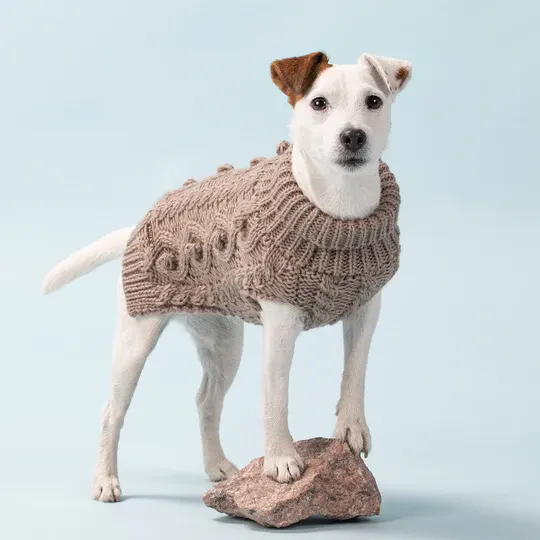 https://dogfatherandco.com/wp-content/uploads/2022/11/handmade-knit-sweater.webp
