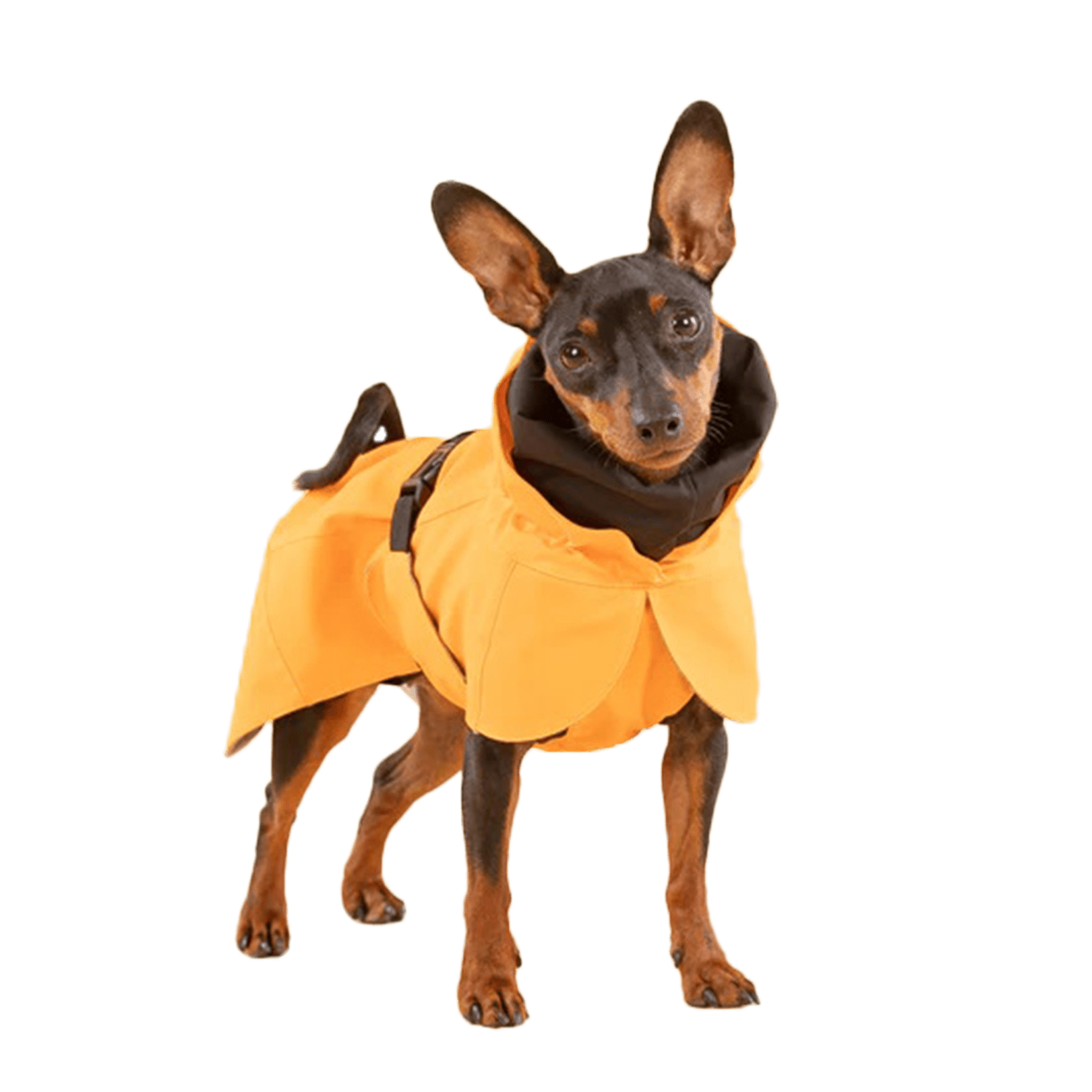 PAIKKA Recovery Raincoat Orange