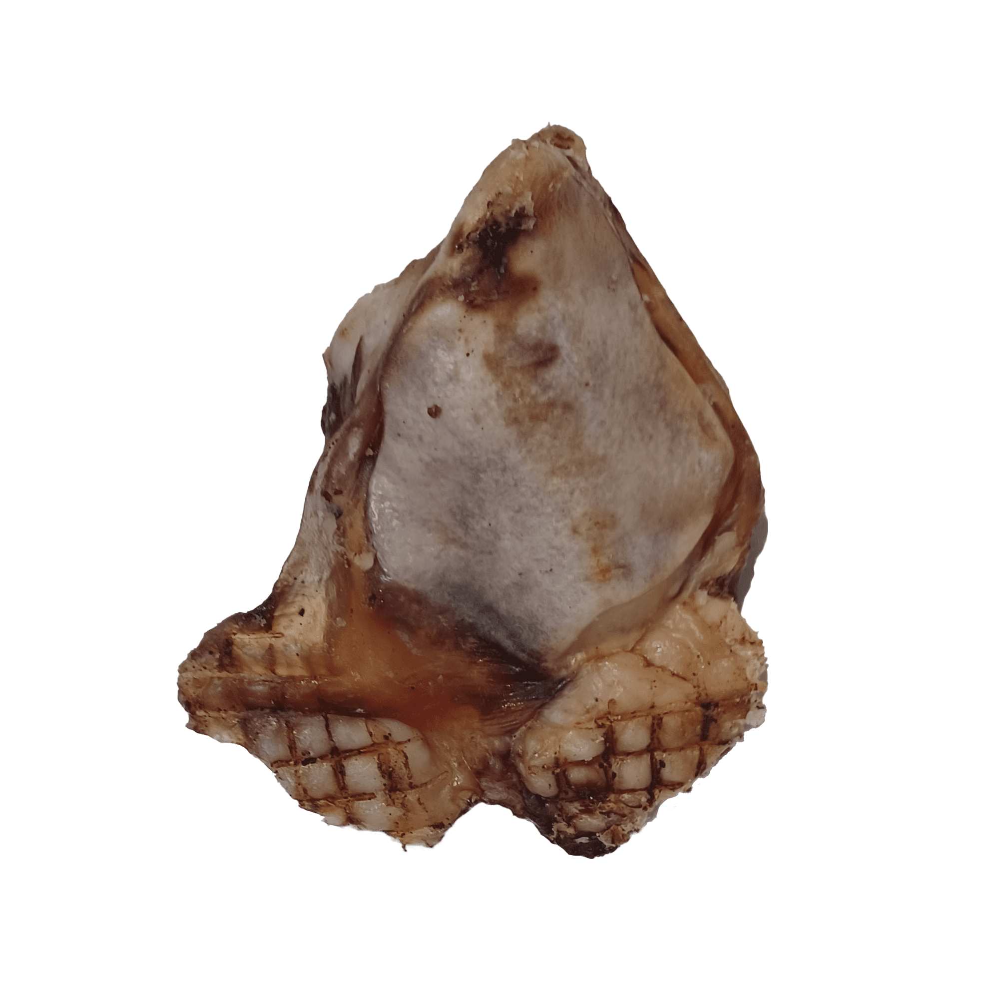 Barnies Jumbo Tartar Buster - Image 2