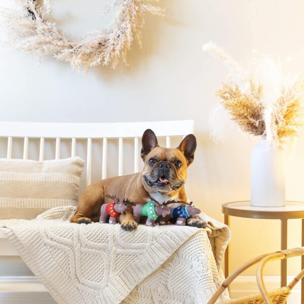 Pet Shop by Fringe Studio Merry Moosemas - Image 2