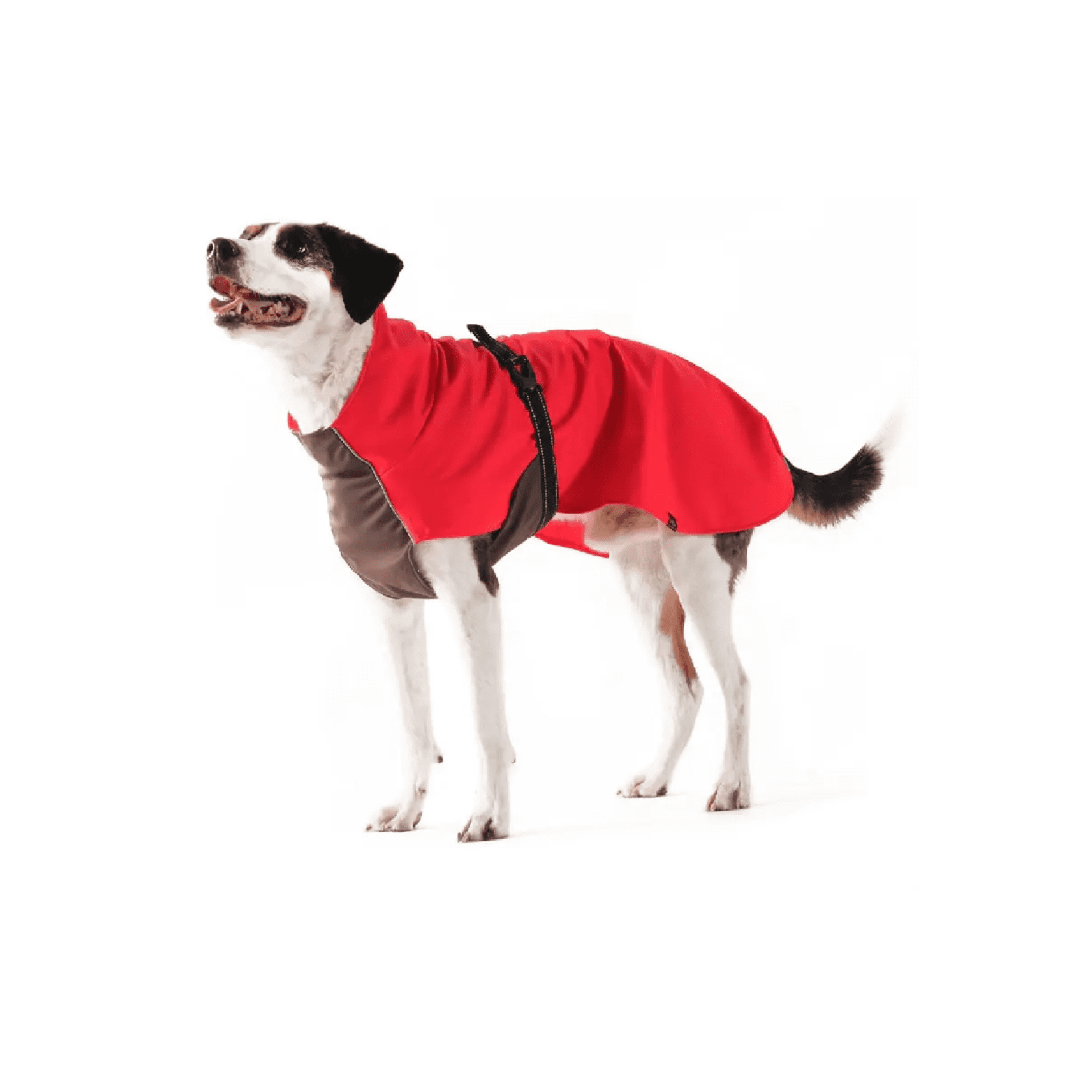 Gold Paw Series Rain Jacket Red Dogfather and Co. Dog Grooming