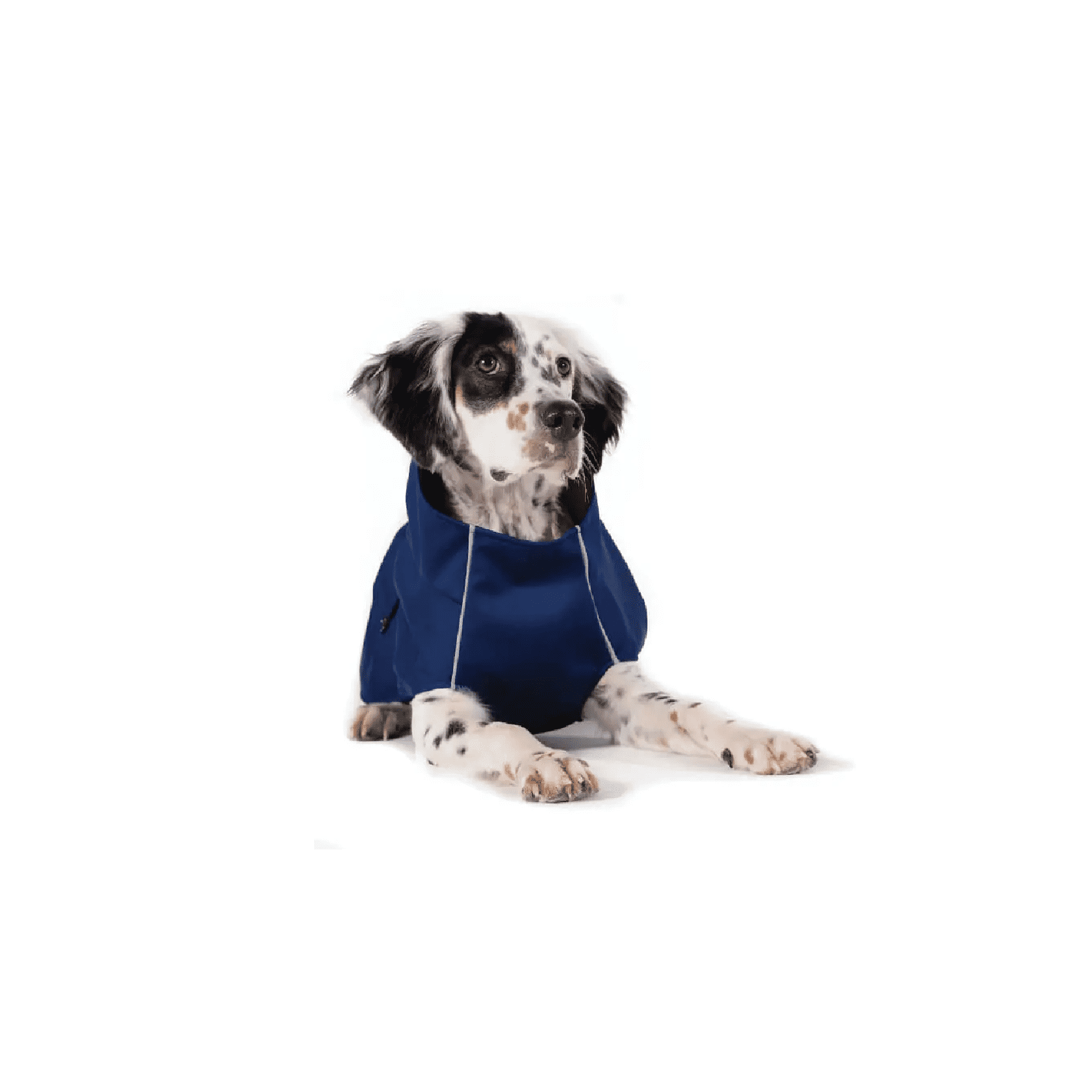 Gold Paw Series Rain Jacket Navy