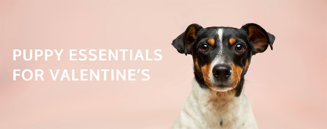 puppy essentials valentines_v2