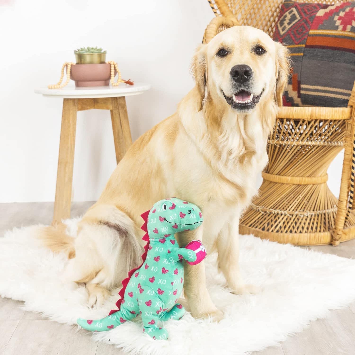 Pet Shop by Fringe Studio XO Rex » Dogfather and Co. Dog Grooming and