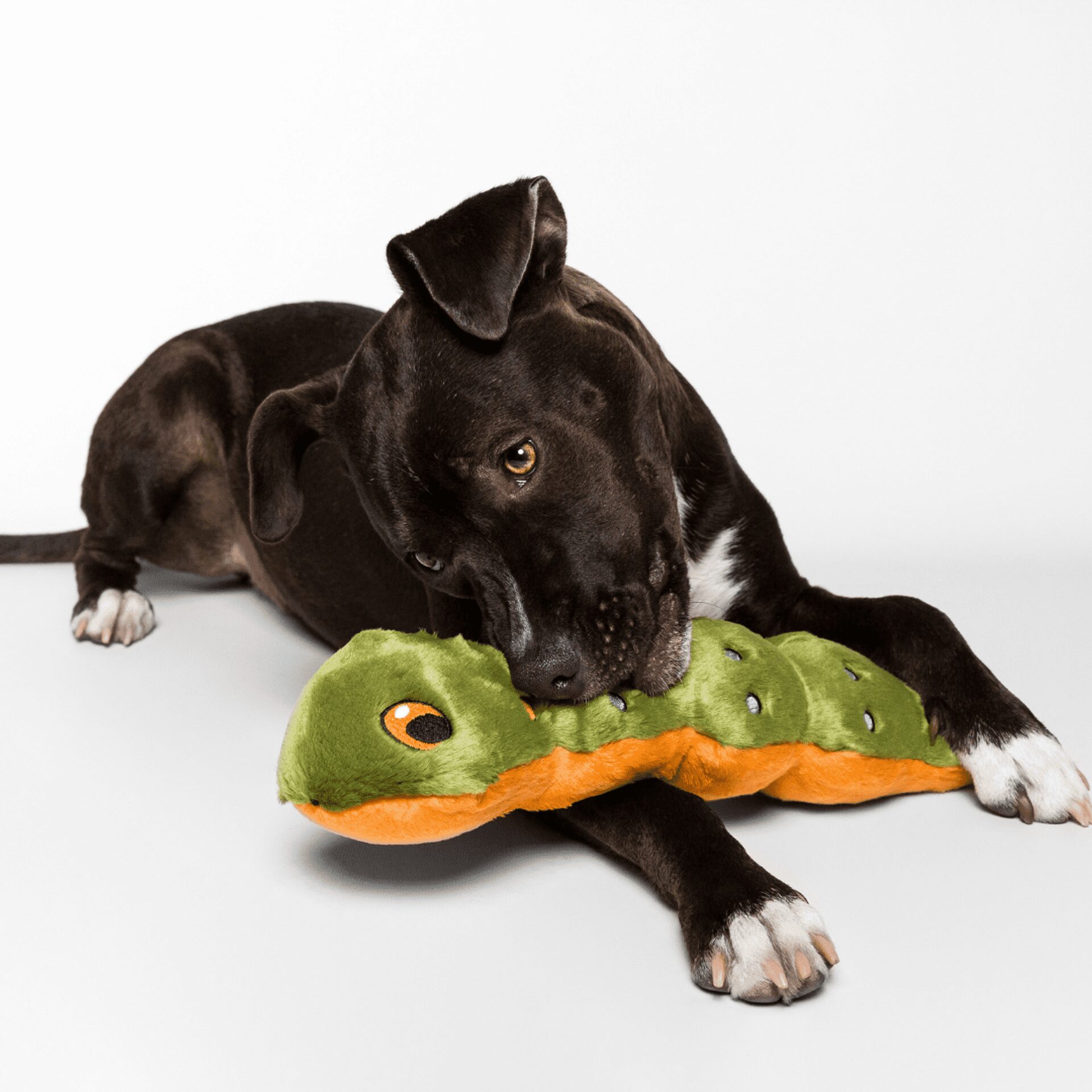 Fluff & Tuff Toy Katie Caterpillar - Image 3