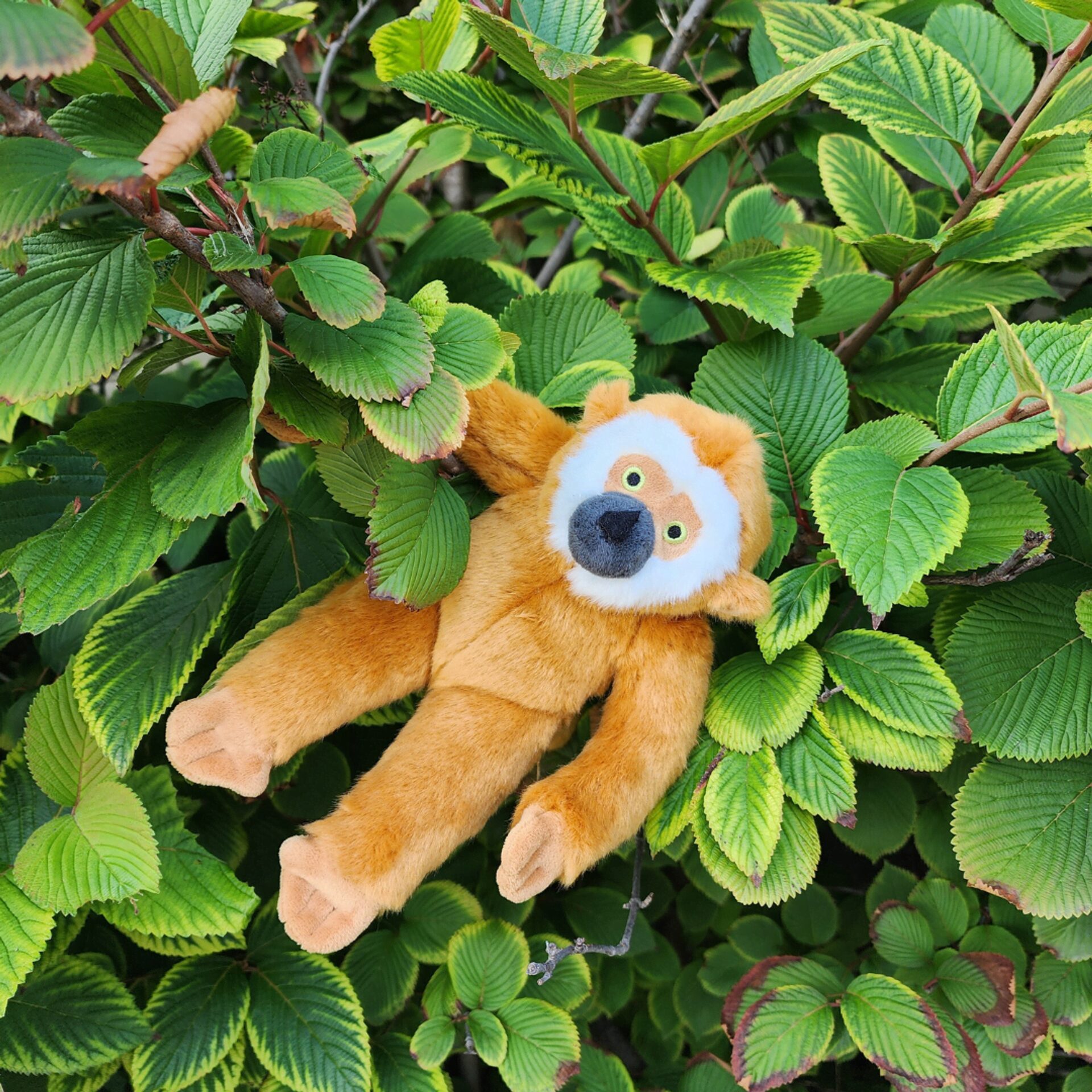 Fluff & Tuff Toy Marcel Monkey - Image 4
